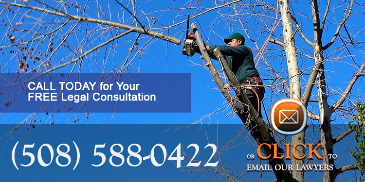 landscape gardener worker
