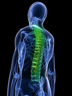 Spinal Cord Injury Lawyers