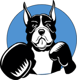Boxer Dog blue Law Offices of Gerald J. Noonan in Brockton, MA