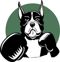 Boxer Dog Boxer Dog