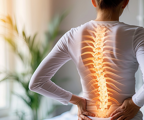 Brockton spine injury lawyers
